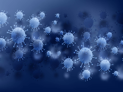 Immune Dynamics