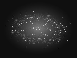 Neural Dynamics