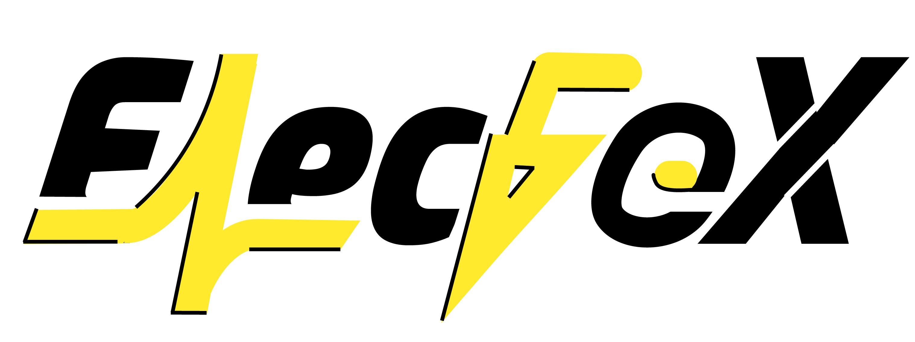 ElecFeX Software